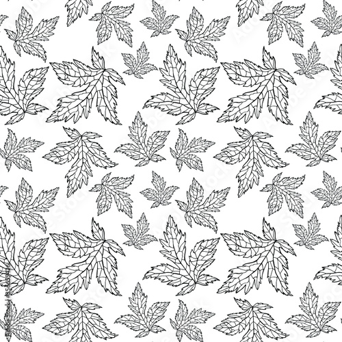 Vector illustration of a botanical pattern. Isolated leaves of meadow geranium on a white background. Hand drawn elements. Leaflet in ink. Design for packaging, wallpaper, fabric, web, print, template © KrymovaArt