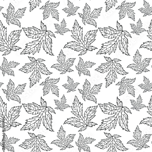Wallpaper Mural Vector illustration of a botanical pattern. Isolated leaves of meadow geranium on a white background. Hand drawn elements. Leaflet in ink. Design for packaging, wallpaper, fabric, web, print, template Torontodigital.ca