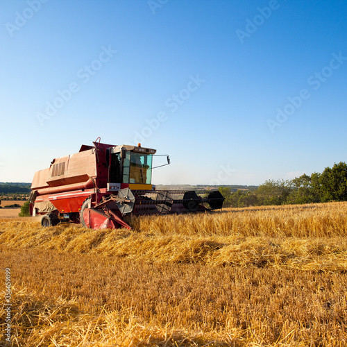 Moissonneuse au travail dans un champ de bl  .