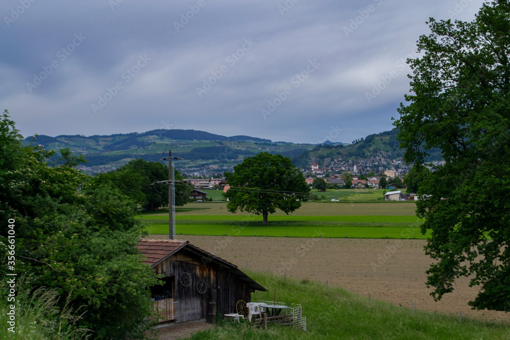 green hills and wooden houses and trees in Switzerland