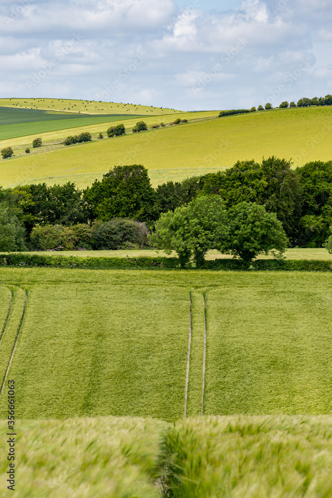 Fototapeta premium A rural Sussex Landscape on a sunny early summers day