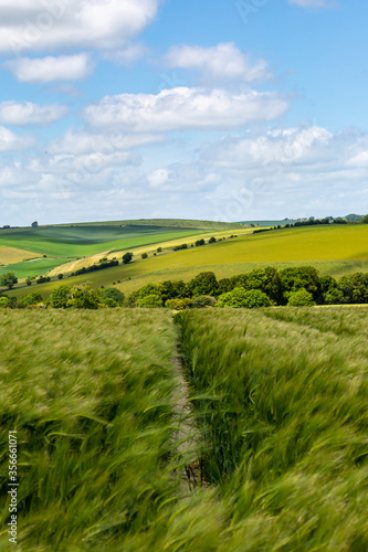 A rural Sussex Landscape on a sunny early summers day