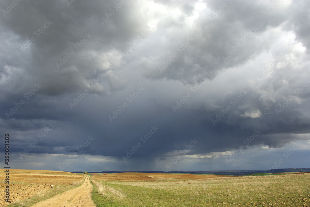 Obraz premium Naturaleza, paisaje de campos ytierra de cultivo, sembrado con llamativo cielo. Daganzo. Madrid III
