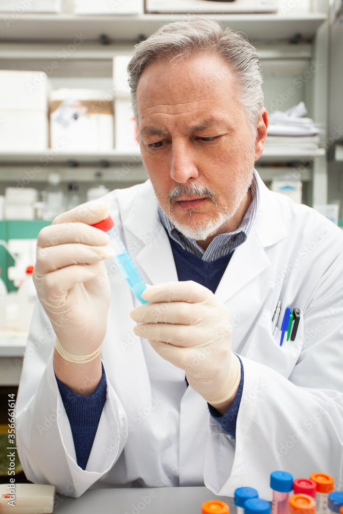 Scientist at work in a laboratory Scientist at work in a laboratory