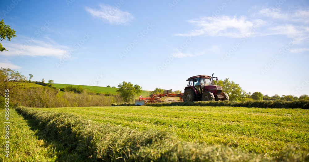 Fototapeta premium Tracteur ou moissonneuse fauchant les prés pour faire du foin.