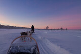 Husky dog sled ride at twilight in winter wonderland in Finnish Lapland, POV 