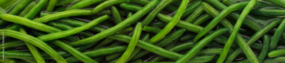 Green French Beans in spring water/liquid Green French Beans in spring water/liquid