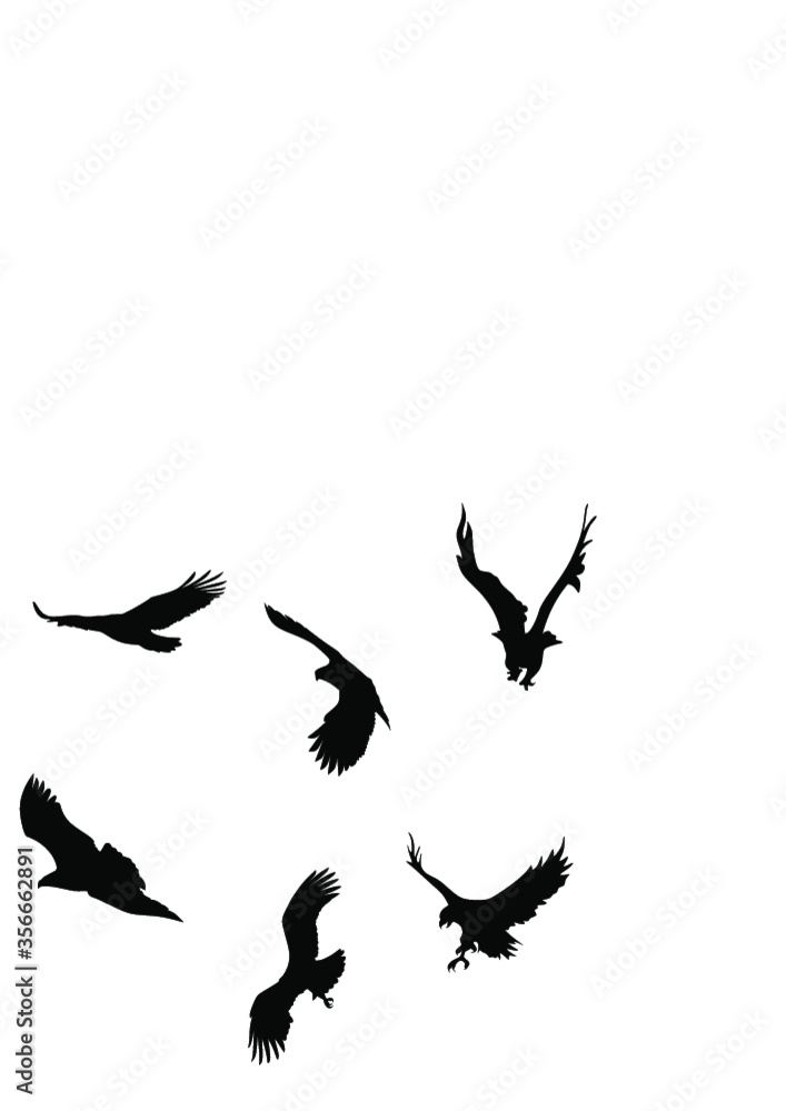 Obraz premium Simple Eagle Vector Pack. Eagle Vector Pack. Eagle Vector. Simple Vector Eagle. 