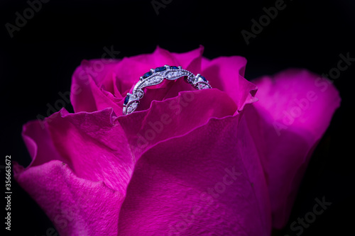 Engagement ring with blue stones in a mauve rose flower. photo