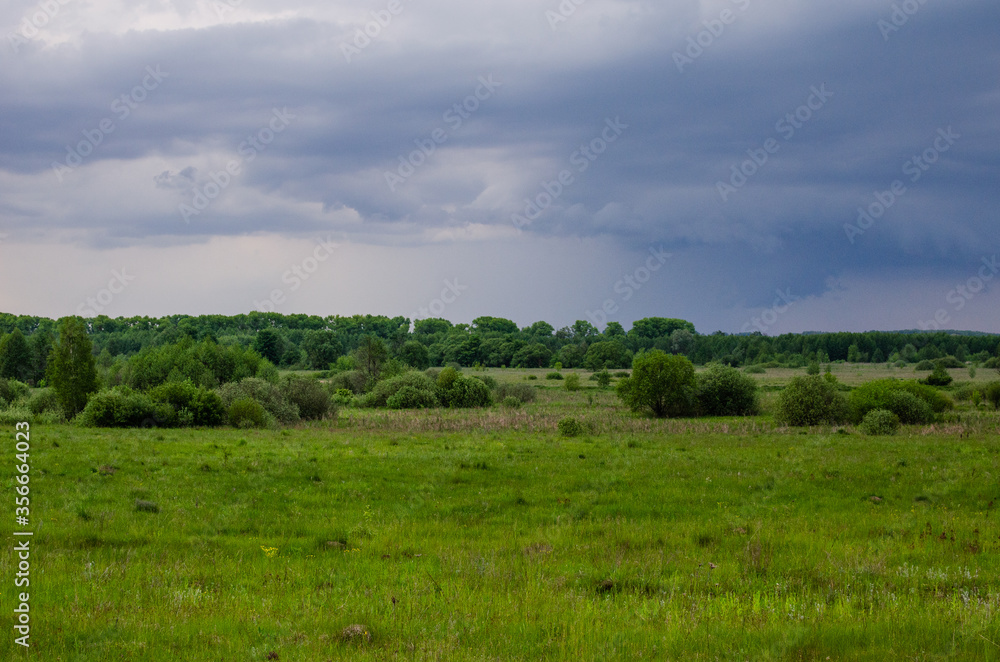 Dark cloud above the forest edge. Overcast weather Dark cloud above the forest edge. Overcast weather