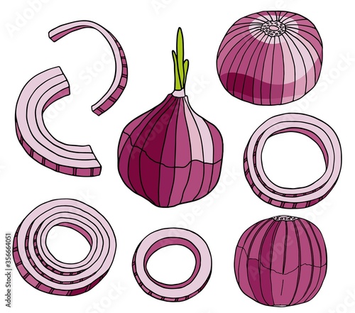 Outline red onion vector illustration set. Hand drawn purple colored bulb, rings and slices of onion. Fresh ingredients cartoon drawing.