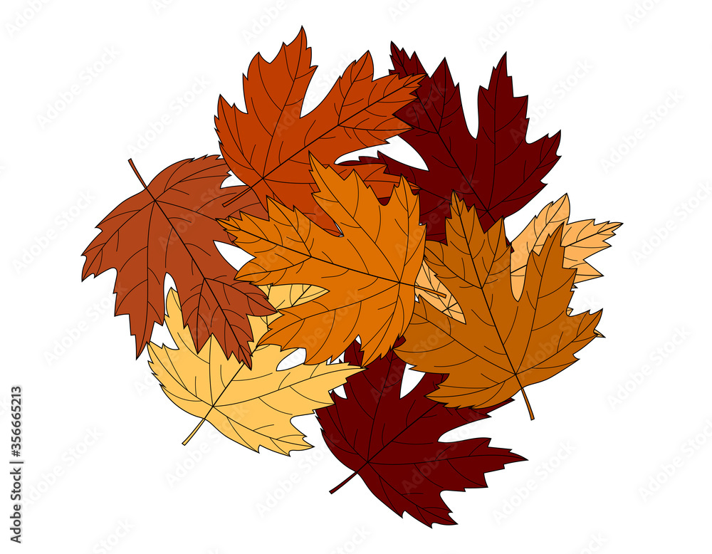 Postcard autumn maple leaves on white background vector illustration Postcard autumn maple leaves on white background vector illustration