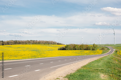 Yellow field of blooming rapeseed, a road and a wind farm on the background. 