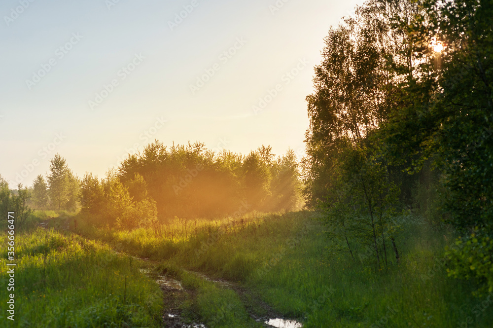Landscape of nature countryside Landscape of nature countryside