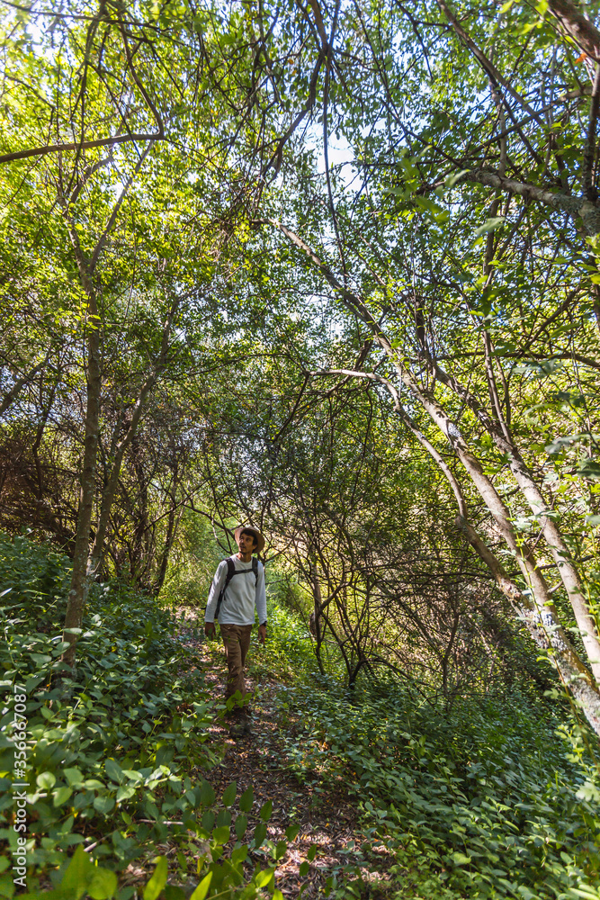 Young adventurer boy with backpack and hat walks through the interior of a Mediterranean forest in Spain. Selective focus. Young adventurer boy with backpack and hat walks through the interior of a Mediterranean forest in Spain. Selective focus.