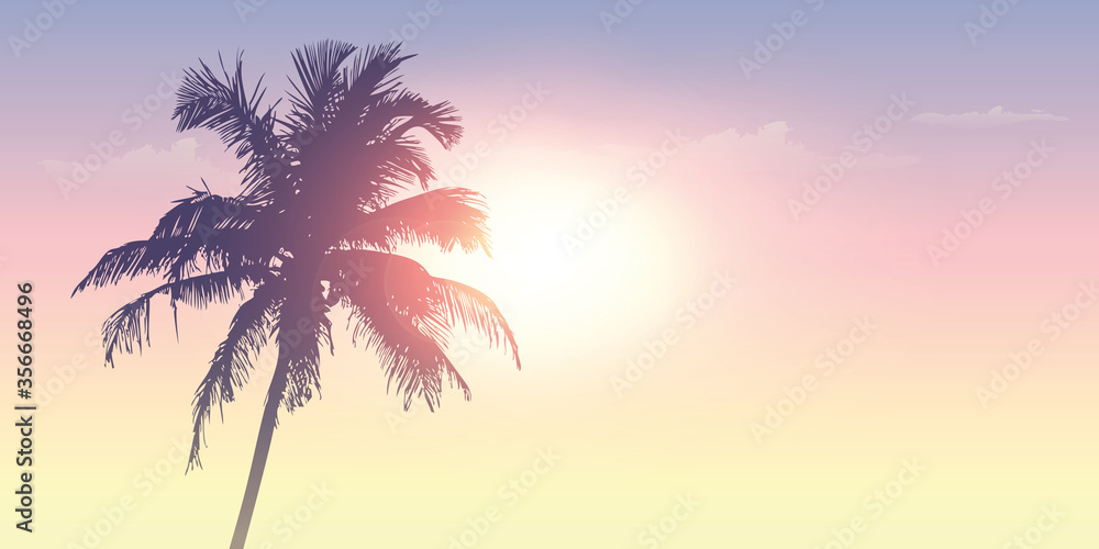 palm trees silhouette on a sunny day summer holiday design vector illustration EPS10
