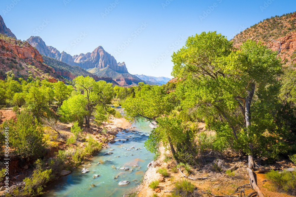 Zion National Park scenery with The Watchman peak and Virgin river in summer, Utah, USA