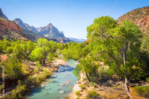Obraz na płótnie Zion National Park scenery with The Watchman peak and Virgin river in summer, Utah, USA w salonie