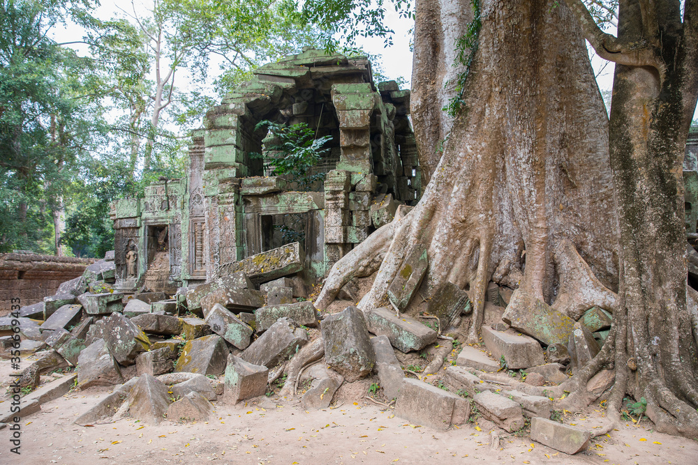 Ruins Ta Prohm temple and Banyan Tree Roots, Angkor Wat complex, Siem Reap, Cambodia. Ruins Ta Prohm temple and Banyan Tree Roots, Angkor Wat complex, Siem Reap, Cambodia.