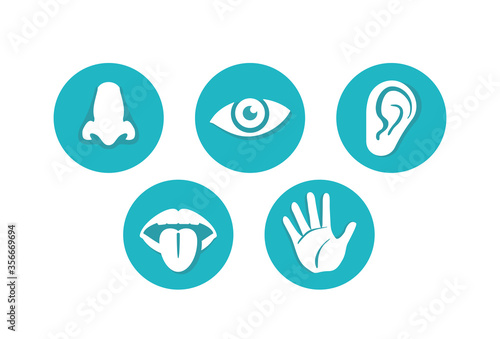 Five senses - touch, sight, hearing, smell and taste - basic human sensing organs - eye, mouth, ear, nose and hand, medical icons collection - set of isolated vector pictograms