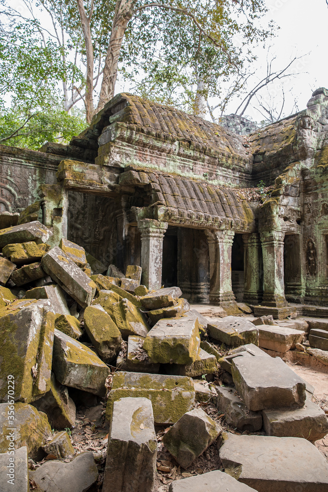 Fototapeta premium Ruins Ta Prohm temple and Banyan Tree Roots, Angkor Wat complex, Siem Reap, Cambodia.