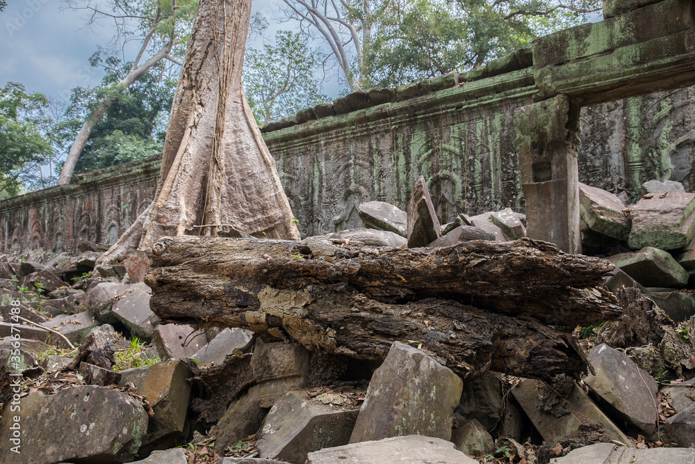 Ruins Ta Prohm temple and Banyan Tree Roots, Angkor Wat complex, Siem Reap, Cambodia. Ruins Ta Prohm temple and Banyan Tree Roots, Angkor Wat complex, Siem Reap, Cambodia.