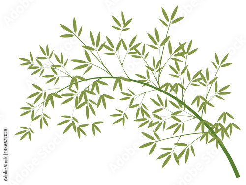 Bamboo background material3