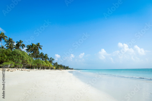 Fototapeta Naklejka Na Ścianę i Meble -  Kiwengwa beach in Zanzibar.