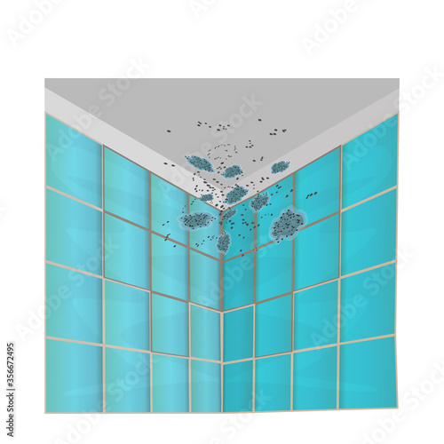 Mold on walls and ceiling isolated on white background. Mold on the green tile in the bathroom. Mildew in the shower. Concept of condensation, damp, high humidity and respiratory problems.Stock vector