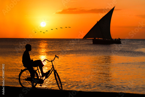 Unrecognized silhouette of a man on bicycle watching sunset.