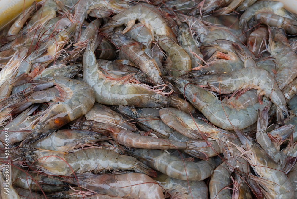 raw shrimps in the local marketplace