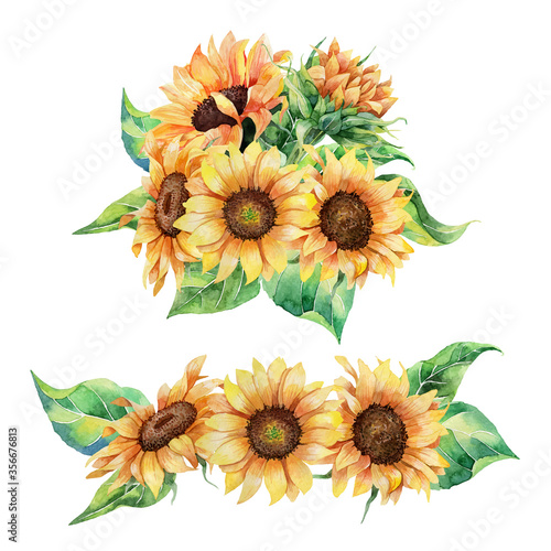 Hand drawn watercolor set of realistic botanical sunflowers and leaves
