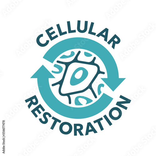 Cellular Restoration formula sign - epidermis structure restore  - anti-aging cosmetics and cosmetology medicals emblem - isolated vector sign