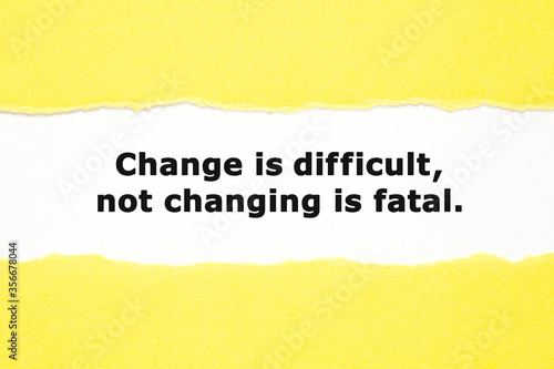 Change Is Difficult Not Changing Is Fatal photo