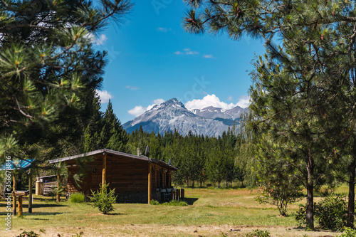 Cabin in the wood