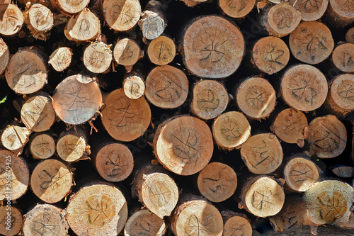 Sawn wood is stored at the retail site