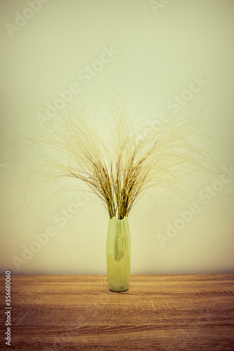 Federgras in einer Vase photo