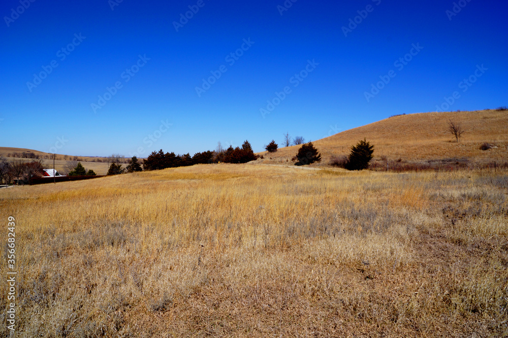 autumn landscape with grass and hills