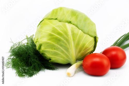 On a white background cabbage, tomatoes, onions and dill