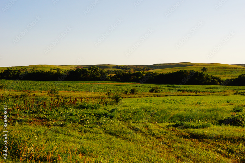 Naklejka premium Kansas hills and pasture land