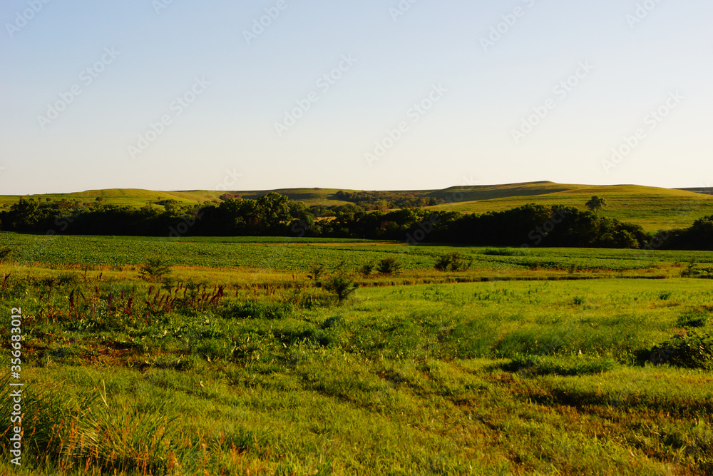 Kansas hills and pasture land