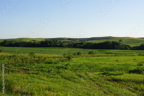 green fields in the flint hills of kansas