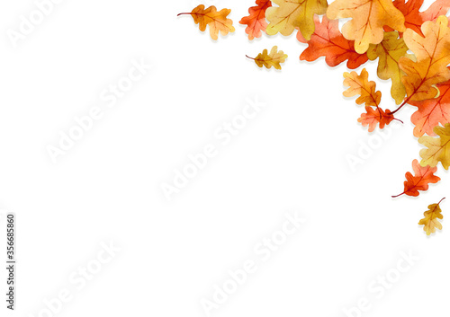 frame of leaves in autumn concept isolated on white background. Flat lay, top view, copy space.
