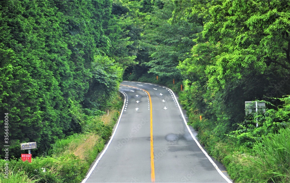 山道のカーブ 山道のカーブ