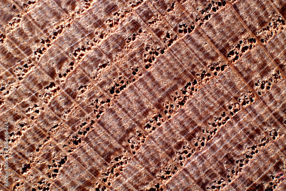 Fototapeta premium wood texture background