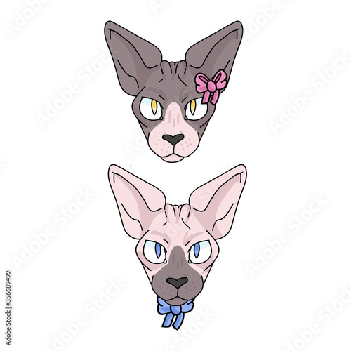 Cute cartoon sphynx face cat boy and girl vector clipart. Pedigree exotic kitty breed for cat lovers. Purebred domestic kitten for pet parlor illustration mascot. Isolated hairless feline housecat. 