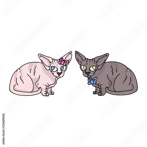 Cute cartoon sphynx kitten boy and girl vector clipart. Pedigree exotic kitty breed for cat lovers. Purebred domestic cat for pet parlor illustration mascot. Isolated hairless feline housecat. EPS 10