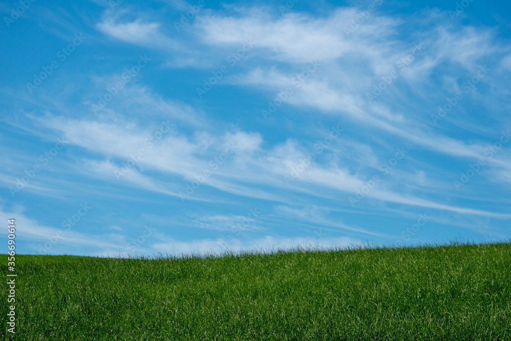 Blue sky with clouds and grassland