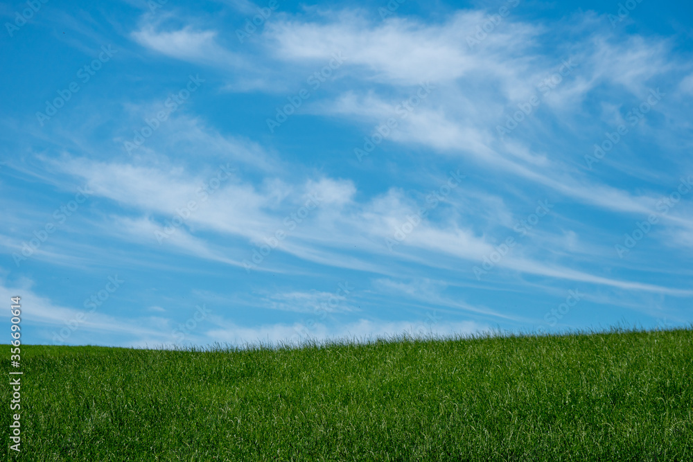 Blue sky with clouds and grassland Blue sky with clouds and grassland
