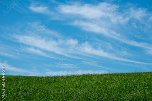 Blue sky with clouds and grassland